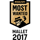 MostWanted_-_Mallet